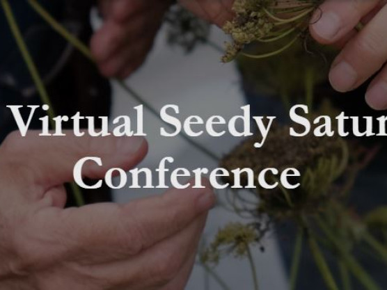 Virtual Seedy Saturday – February 19 to 21, 2021